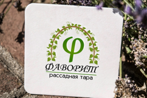 Пример логотипа для организации "Фаворит"