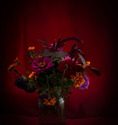 img2020169.png