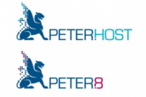 Работа 2312856