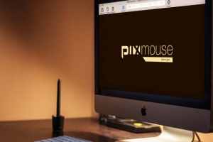 Логотип Pixmouse design