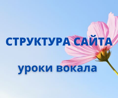 img3983251.png