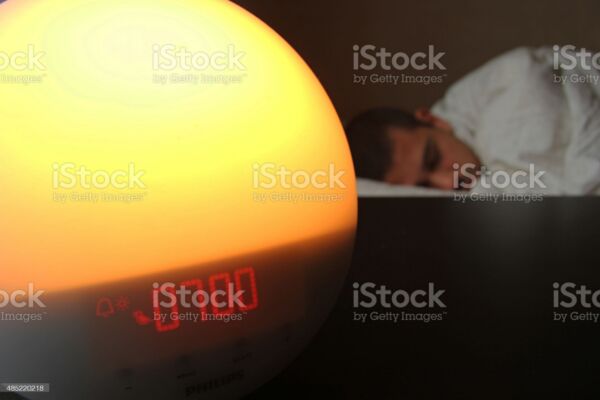 img3983225.png