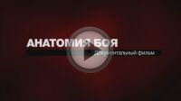 img2178881.png