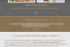 Информационный сайт на Wordpress