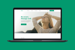 Верстка лендинга Alivio