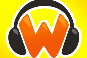 Логотип-иконка Wonderman