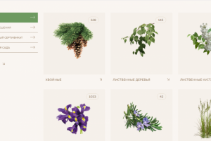 php сопровождение сайта