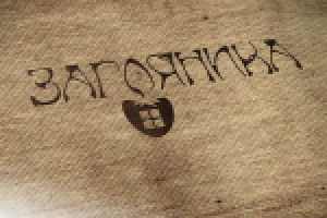 Загляника. Магазин непродовольственных товаров. Конкурсная работ