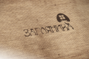 Загляника. Магазин непродовольственных товаров. Конкурсная работ