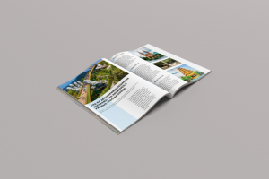 Статья для журнала