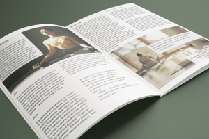 Статья для журнала