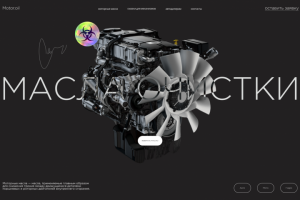 Проект Моторные масла.
