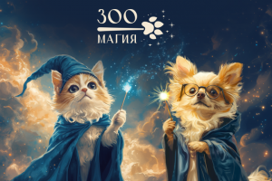 Фирменный стиль для зоомагазина