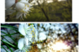 Цветокоррекция, кадрирование, баланс белого