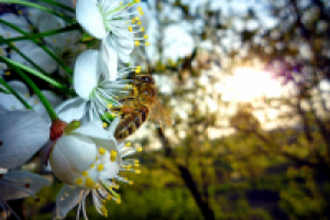 Работа 1412143