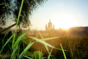 Работа 1412140