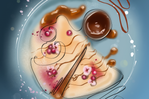 Food - иллюстрация