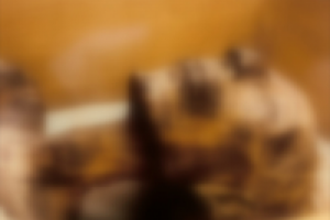 Квест в реальности "Гробница Фараона", Новосибирск