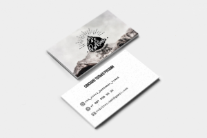 Работа 3671060