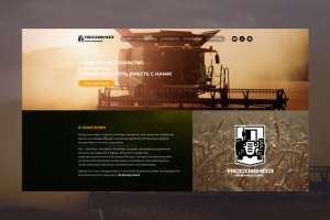 разработка дизайна в команде студии Znamen