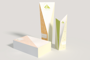 Работа 3818568