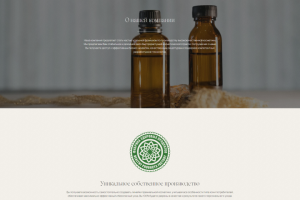 Сайт по продаже франшизы