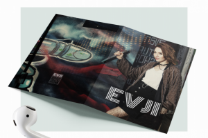 Буклет для музыкального исполнителя "EVJI"