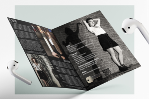 Буклет для музыкального исполнителя "EVJI"