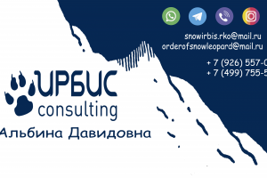 Работа 4249308