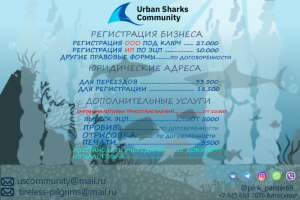 фирменный стиль(бланк задник 2)