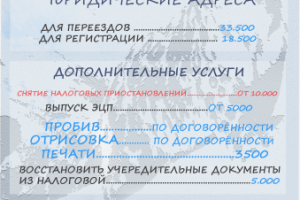 фирменный стиль(бланк задник)