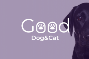 good dog&cat 2 вариант логотипа