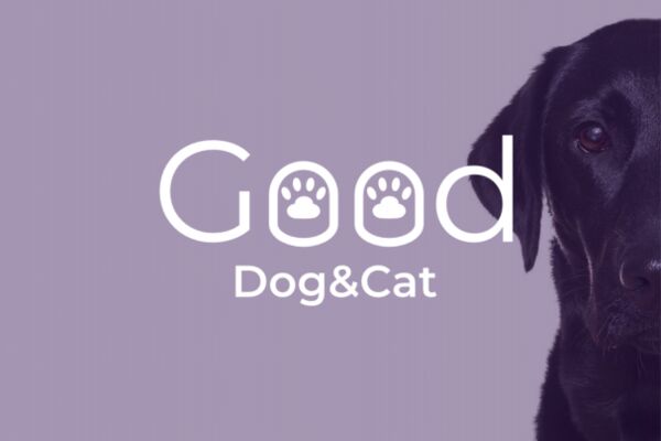 img4335992.png