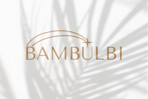 Логотип BAMBULBI
