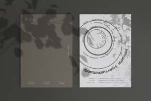 Концепт обложки