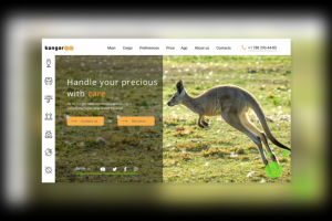 Перевозка хрупких грузов