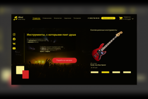 Интернет-магазин музыкальных инструментов