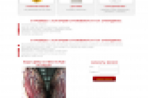 Продажа говядины