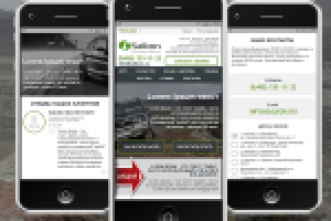 Дизайн мобильного приложения Salkon