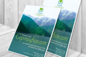 Дизайн сертификата для стоматологии "Рица"