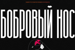 Бобровый НОС