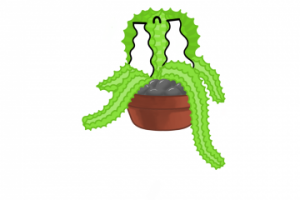 грустный суккулент