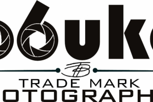 Разработка элементов фирменного стиля для фотографа.