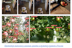 Прототип робота для сбора яблок