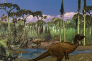 Обработка фотографий