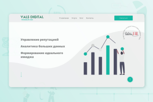 VALS DIGITAL — Маркетинговое агентство полного цикла