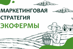 Маркетинговый анализ экофермы "Богимово"