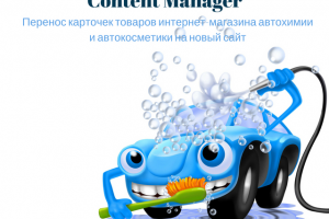 Наполнение интернет-магазина Автохимии и Автокосметики