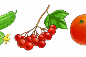 Фрукты, овощи и ягоды