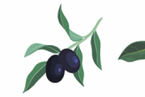 Векторная иллюстрация -ветки деревьев